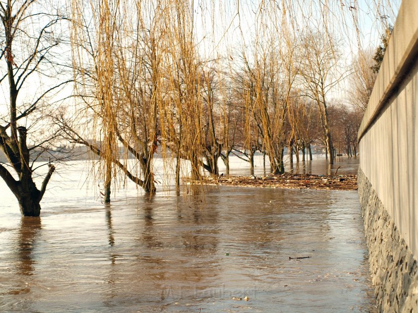 Hochwasser Koeln 2011 Tag 3 P096.JPG